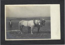 CPA à Identifier Métier Carte Photo RPPC Voir Scan Du Dos - Zu Identifizieren