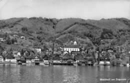 Walchwil Am Zugersee - Zug