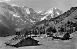 Mürren Blumental - Mürren