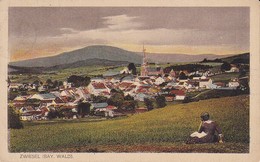 AK Zwiesel - Bay. Wald - Panorama - Schöner Stempel Zwiesel 1921 (38593) - Zwiesel