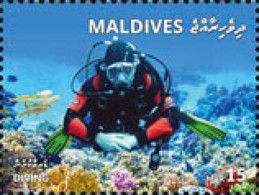 Maldives 2018, Animals, Diving 1, 1val - Immersione