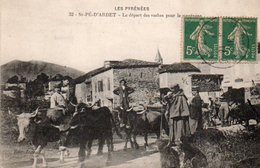 91Md   31 Saint Pé D'Ardet Depart Des Vaches Pour Le Paturage En Montagne - Other & Unclassified