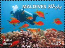 Maldives 2018, Animals, Diving 2, 1val - Diving