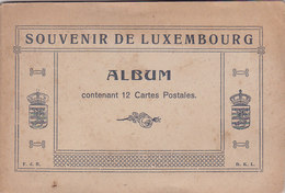 Vieux Album Du Souvenir Du Luxembourg Vide - Non Classificati