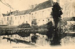 - SOUCY (89) -  Le Château De Jouancy    -11170- - Soucy