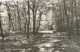 Lochem, Lochemseberg   (glansfotokaart) - Lochem