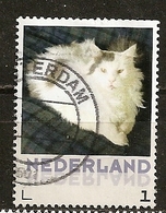 Pays-Bas Netherlands Chat Cat Obl - Gebraucht
