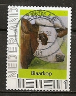 Pays-Bas Netherlands Vache Blaarkop Cow Obl - Usados
