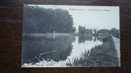 MAREUIL SUR AY- VU CHEMIN DE HALAGE - Mareuil-sur-Ay