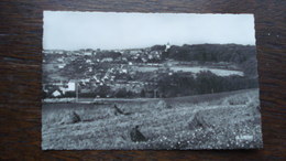 MONTMIRAIL-VUE PANORAMIQUE - Montmirail