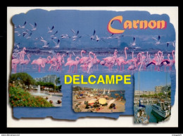 DF / 34  HERAULT / MAUGUIO- CARNON / CARNON-PLAGE / MULTIVUES ET FLAMANS ROSES - Mauguio