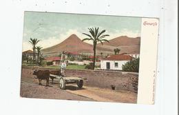 TENERIFE 38       1910 - Tenerife