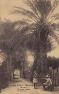 BELG. CONGO :1922: PWS/E.P./P.St.-ILLUSTR.** Nr.89 – 15 C. : PALMIERS,PALM-TREES,CLOTHES, - Entiers Postaux