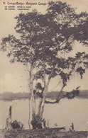 BELG. CONGO :1912: PWS/E.P./P.St.-ILLUSTR.° Nr.71 – 10 C. : RIVER,TREE,ARBRE,BOOM, - Entiers Postaux