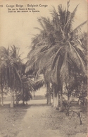 BELG. CONGO :1912: PWS/E.P./P.St.-ILLUSTR.** Nr.15 – 10 C. : PALMIERS,PALM-TREES, - Ganzsachen