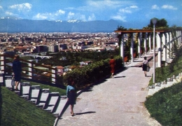 Torino - Parco Europa - Panorama - 53-56 - Formato Grande Viaggiata – E 10 - Parques & Jardines