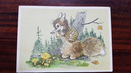 Golubev -  Champignon - OLD Postcard - MUSHROOM 1967 Little Fox - Pilze