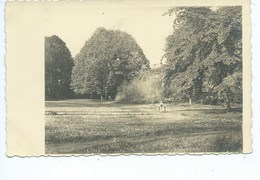 Erbaut Jurbise Parc Du Château ( 2 Photocartes ) - Jurbise