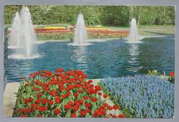 NL.- LISSE. KEUKENHOF. 1965. - Lisse