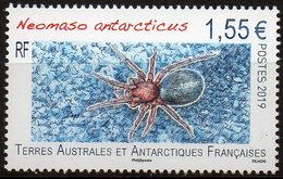 T.A.A.F. // F.S.A.T. 2019 - Insectes, Araignée - 1 Val Neufs // Mnh - Unused Stamps