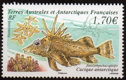 T.A.A.F. // F.S.A.T. 2019 - Poissons - 1 Val Neufs // Mnh - Unused Stamps