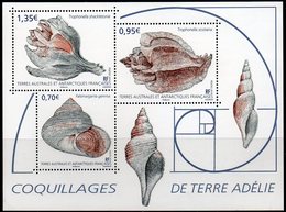 T.A.A.F. // F.S.A.T. 2019 - Faune Marine, Coquillages - BF Neufs // Mnh - Nuovi
