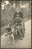 Lettre Cartes Postales. "197-En Sologne Attelage De Chien", CP Neuve éd. NDPhot, Superbe - Unclassified