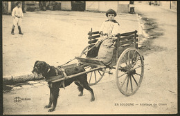 Lettre Cartes Postales. "Attelage De Chien En Sologne", CP Neuve, éd. LLOrléans. - TB - Non Classés