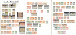 ** Collection. 1899-1927 (Poste, Taxe), Valeurs Diverses, Qqs Nuances Et Des Ex *, Très Frais. - TB - Other & Unclassified