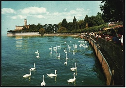 Langenargen / Bodensee  -   Uferpromenade Mit Kurhaus  -  Ansichtskarte Ca.1966    (9534) - Langenargen