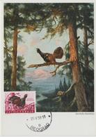Yougoslavie Carte Maximum Oiseaux 1958 Coq De Bruyère 745 - Maximumkarten