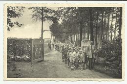 Kalmthout  * Diesterweg's Schoolkolonie Te Heide - Terug Van De Wandeling - Kalmthout