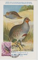 Yougoslavie Carte Maximum Oiseaux 1958 Perdrix 750 - Maximumkarten