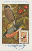 Yougoslavie Carte Maximum Oiseaux 1968 Bouvreuil 1177 - Maximumkarten