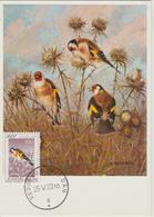 Yougoslavie Carte Maximum Oiseaux 1968 Chardonneret 1178 - Maximumkarten