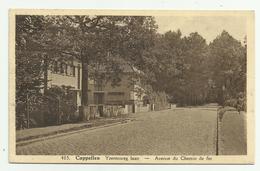 Cappellen - Kapellen   *   Yzerenweglaan - Avenue Du Chemin De Fer (Hoelen) - Kapellen