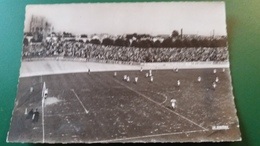 CPSM STADE ET LES POPULAIRES DE REIMS ED LA CIGOGNE 1970 - Stades