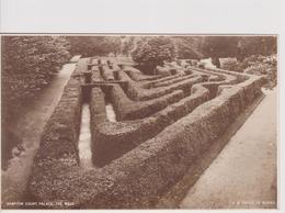 ENG30  ~~  HAMPTON COURT, PALACE  ,, THE MAZE ,, - Middlesex