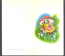 75067- CHICKENS, FLOWERS, MUSHROOMS, 2 PARTS FOLDED - Champignons