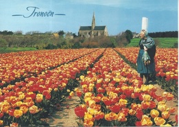 CPM  France    29 Finistère  Saint Jean Trolimon  Tronoën  Une Bigoudène Parmi Les Tulipes - Saint-Jean-Trolimon