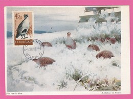 Carte Maximum - Oiseaux - Perdrix - Bulgarie - 1959 - Patrijzen, Kwartels