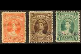 QUEENSLAND 1882-83 2s6d, 10s & £1 With The Re-entry, Each Handstamped "SPECIMEN" (in Black, Blue & Violet), SG 153s, 155 - Autres & Non Classés