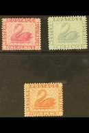 WESTERN AUSTRALIA 1888 Complete Set, SG 103/05, Fine Mint, Very Fresh. (3 Stamps) For More Images, Please Visit Http://w - Otros & Sin Clasificación