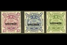 SPECIMENS 1948-56 10s, £1 & £2 high Values, Overprinted "SPECIMEN," SG 224bs/ds, Never Hinged Mint (3 Stamps). For More  - Otros & Sin Clasificación