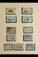 1968-1973 ALL DIFFERENT COLLECTION Never Hinged Mint And Very Fine Used. With 1968 Overprinted Definitive Sets Both Neve - Territorio Británico Del Océano Índico