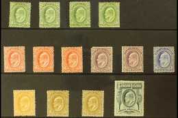 1904-12 KEVII Set To 3s Green, SG 43/49, Plus Some Additional Shades To 1s, Mint, Mostly Fine And Fresh. (14 Stamps) For - Falkland Islands