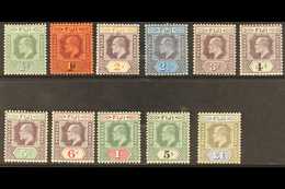 1903 Complete Set, SG 104/114, Very Fine Mint, The 5d, 6d, 1s And 5s Are Never Hinged. (11 Stamps) For More Images, Plea - Fiji (...-1970)