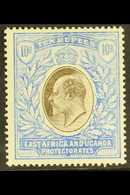 1904 - 7 10r  Grey And Ultramarine, Wmk MCA, Ed VII, SG 31, Very Fine Mint. For More Images, Please Visit Http://www.san - Vide