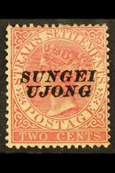 NEGRI SEMBILAN 1885 2c Pale Rose Overprinted "Sungei Ujong", Type 23, SG 38, Very Fine Mint. For More Images, Please Vis - Otros & Sin Clasificación