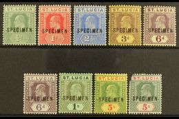 1904 Ed VII Set Wmk MCA Ovptd "Specimen", SG 65s/77s, Very Fine Mint. 5s Green And Carmine (SG 76s) Defective Top Right  - St.Lucia (...-1978)